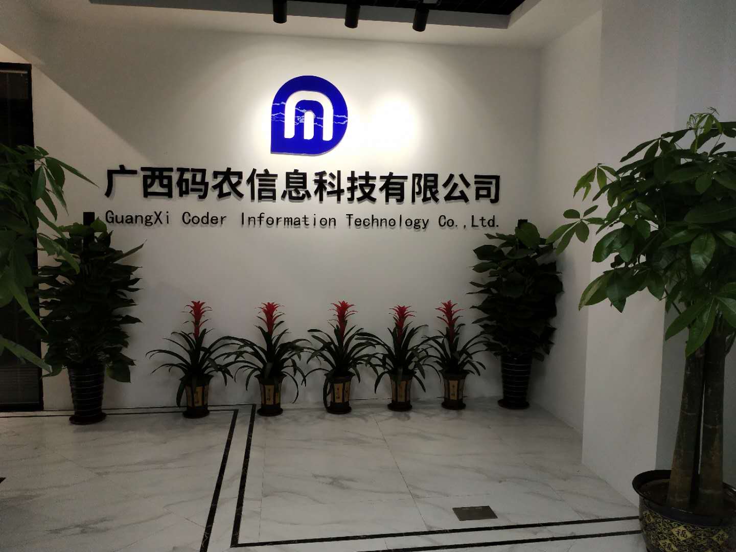 这是一张图片